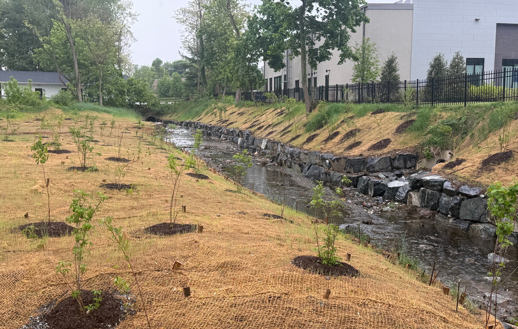 Taylor Run Restoration nearing completion